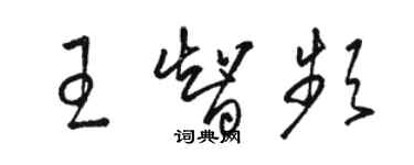 駱恆光王智頻草書個性簽名怎么寫