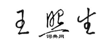 駱恆光王照生草書個性簽名怎么寫