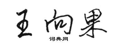 駱恆光王向果行書個性簽名怎么寫