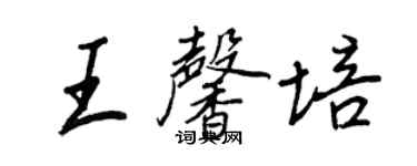 王正良王馨培行書個性簽名怎么寫