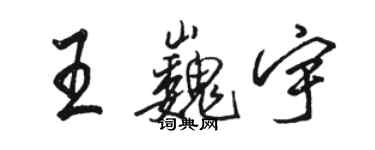 駱恆光王巍宇行書個性簽名怎么寫