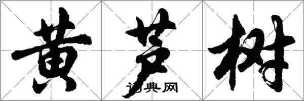 胡問遂黃蘆樹行書怎么寫