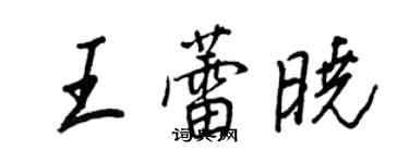 王正良王蕾曉行書個性簽名怎么寫