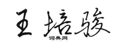 駱恆光王培駿行書個性簽名怎么寫