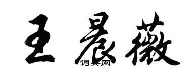 胡問遂王晨薇行書個性簽名怎么寫