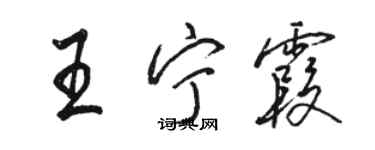 駱恆光王寧霞行書個性簽名怎么寫