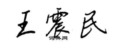 王正良王震民行書個性簽名怎么寫