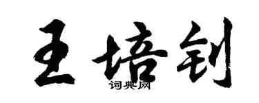 胡問遂王培釗行書個性簽名怎么寫