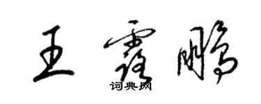 梁錦英王露鵬草書個性簽名怎么寫