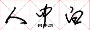 朱錫榮人中白草書怎么寫