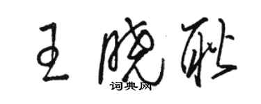 駱恆光王曉耿草書個性簽名怎么寫