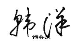 駱恆光韓洋草書個性簽名怎么寫