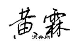 王正良黃霖行書個性簽名怎么寫