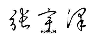 梁錦英張宇澤草書個性簽名怎么寫