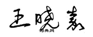 曾慶福王曉嘉草書個性簽名怎么寫