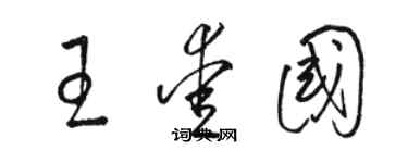 駱恆光王愛國草書個性簽名怎么寫