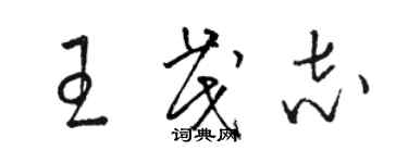 駱恆光王茂志草書個性簽名怎么寫