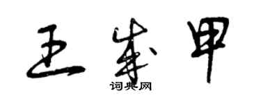 曾慶福王成甲草書個性簽名怎么寫