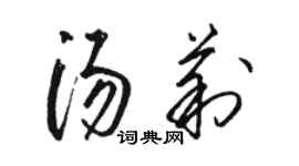 駱恆光湯莉草書個性簽名怎么寫
