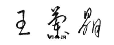 駱恆光王蘭晶草書個性簽名怎么寫