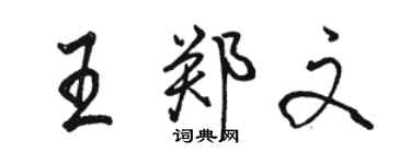 駱恆光王鄭文行書個性簽名怎么寫