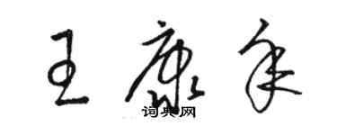 駱恆光王康年草書個性簽名怎么寫