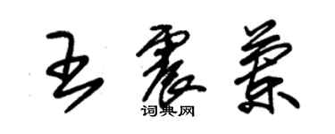 朱錫榮王震蘭草書個性簽名怎么寫