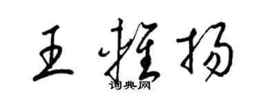 梁錦英王輕揚草書個性簽名怎么寫