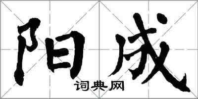 翁闓運陽成楷書怎么寫