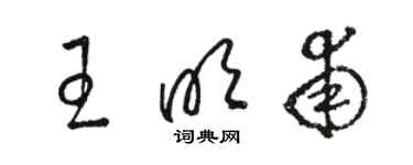 駱恆光王明甫草書個性簽名怎么寫