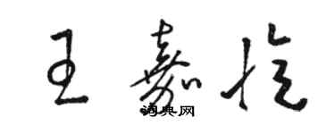 駱恆光王嘉憶草書個性簽名怎么寫