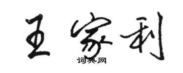 駱恆光王家利行書個性簽名怎么寫