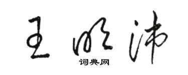 駱恆光王明沛草書個性簽名怎么寫