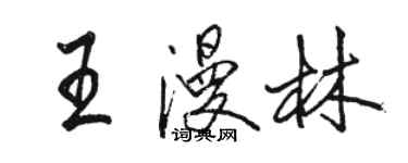 駱恆光王漫林行書個性簽名怎么寫