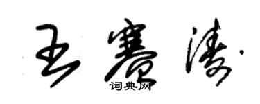 朱錫榮王賽濤草書個性簽名怎么寫