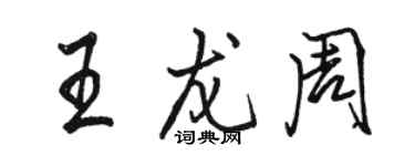 駱恆光王龍周行書個性簽名怎么寫