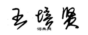 朱錫榮王培賢草書個性簽名怎么寫