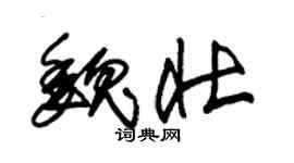 朱錫榮魏壯草書個性簽名怎么寫