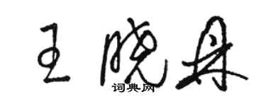 駱恆光王曉鼎草書個性簽名怎么寫