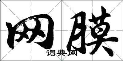 胡問遂網膜行書怎么寫