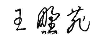 駱恆光王野菲草書個性簽名怎么寫