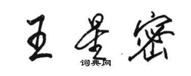 駱恆光王星密行書個性簽名怎么寫