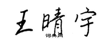 王正良王晴宇行書個性簽名怎么寫