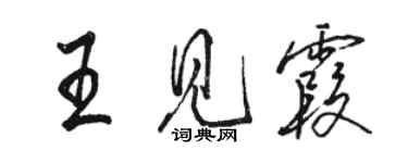 駱恆光王見霞行書個性簽名怎么寫