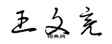 曾慶福王文亮草書個性簽名怎么寫