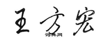 駱恆光王方宏行書個性簽名怎么寫