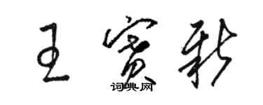 駱恆光王賽新草書個性簽名怎么寫