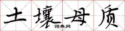 周炳元土壤母質楷書怎么寫