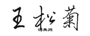 駱恆光王松菊行書個性簽名怎么寫
