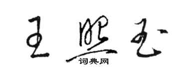 駱恆光王照玉草書個性簽名怎么寫